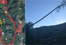 Dolceacqua, interruzione di energia elettrica domani per rimozione di un pino caduto crollo pino dolceacqua