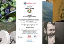 Badalucco, Olio Roi è ancora ‘Friend of the Earth’. “Da più di 10 anni coltiviamo una sola idea: rispettare la nostra terra” Friend of the Earth Roi