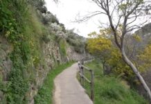 Bordighera punta sul Beodo: obiettivo l’inserimento nella Rete Escursionistica della Liguria sentiero beodo bordighera