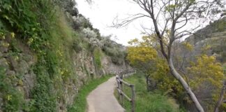 Bordighera punta sul Beodo: obiettivo l’inserimento nella Rete Escursionistica della Liguria sentiero beodo bordighera