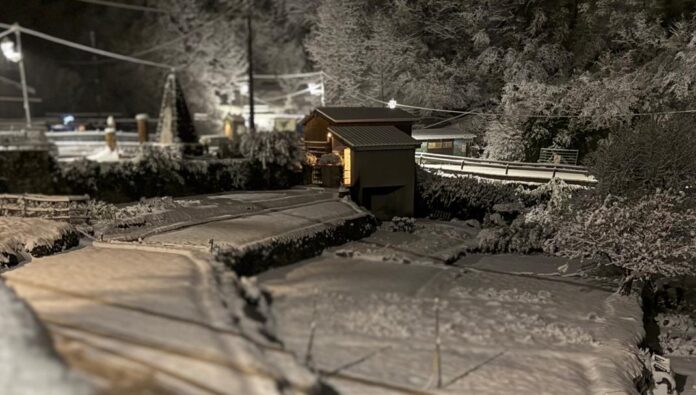 neve verdeggia neve verdeggia