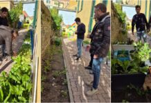 Pontedassio, la scuola dell’infanzia otterrĂ la Bandiera Verde per il secondo anno consecutivo: “Modello di eccellenza” alessandro piana scuola pontedassio