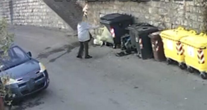 WhatsApp Image 2025-11-27 at 16.41.14