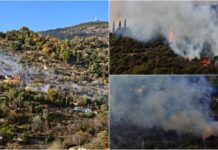 Sanremo, incendio sulle alture di Valloni Tasciaire: fiamme minacciano le abitazioni incendio valloni tasciaire sanremo