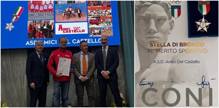 Stella di Bronzo Amici del Castello