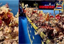 I fiori di Sanremo alla cerimonia di consegna dei premi Nobel, vicepresidente regionale Piana: “Motivo di orgoglio e conferma di quanto la Liguria sia un punto di riferimento internazionale”