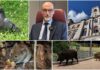 Imperia, Fossati fa il punto su piccioni, cinghiali e ratti in città : “La fauna selvatica è sempre più urbana. Serve lavorare con costanza e con metodi efficaci” Fauna selvatica Imperia