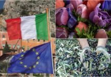 Il commercio estero dell’imperiese: quasi il 60% dell’export da agricoltura e alimentare, in calo gli scambi con gli USA export provincia di imperia