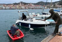 Delfini nel porto di Oneglia, parte il progetto “Plinio”: monitoraggio acustico per studiarne la presenza