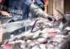 Controlli sul pesce in vista del Natale, in Liguria oltre 17 tonnellate sequestrate