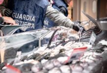 Controlli sul pesce in vista del Natale, in Liguria oltre 17 tonnellate sequestrate