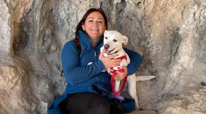 cane sbranato cipressa