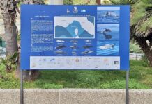 Santo Stefano al Mare valorizza il Santuario Pelagos: pannelli informativi nei porti per sensibilizzare cittadini e turisti