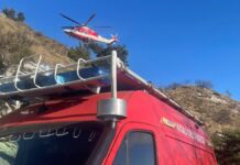 Colle Melosa, cane disperso ritrovato e messo in salvo con l’elicottero dei Vigili del Fuoco