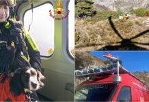 Colle Melosa, cane disperso ritrovato e messo in salvo grazie all’elicottero dei Vigili del Fuoco vigili del fuoco