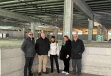 Mercato dei Fiori di Sanremo, sopralluogo del CDA di Amaie Energia: lavori PNRR in corso fino a giugno 2026