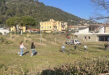 Camporosso celebra il suo patrono San Sebastiano: piantati 35 alberi per i bambini nati nel 2025