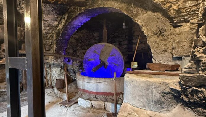 gumbu de nuccio gumbu de nuccio