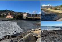 Imperia, ‘AmMiRaRe’ al via: primo monitoraggio scientifico a Borgo Prino–Garbella. “Per studiare l’ecosistema spiaggia e degli habitat circostanti” Progetto Ammirare