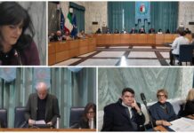Consiglio comunale di Imperia: passano le mozioni della minoranza su animali e “DDL Stupri”, interpellanza di Bracco su Rivieracqua