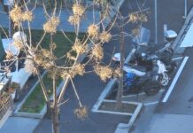 Via Don Bosco, al via domani i lavori di finitura: il Comune di Vallecrosia cambia materiale per garantire più durata