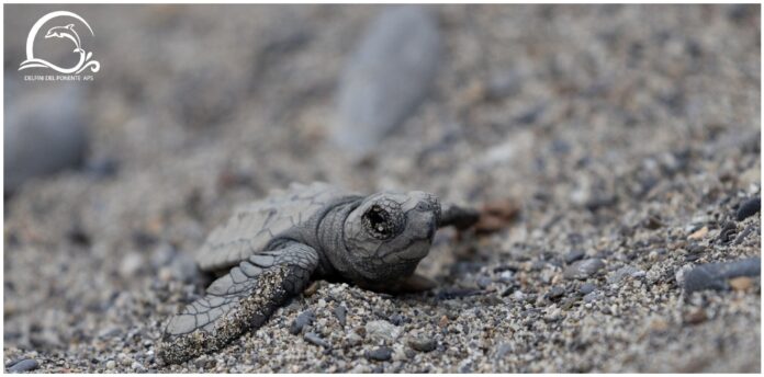 Menkab_ il respiro del mare AERA