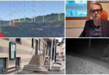 San Lorenzo al Mare, lupi e parco eolico: il punto del sindaco Mazzarese un anno dopo mazzarese lupi e pale eoliche san lorenzo
