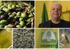 Olivicoltura ligure, Pautasso (Coldiretti): “Conclusa un’annata di scarica. Non possiamo continuare con questa alternanza, serve un piano regionale” Olivicoltura Coldiretti