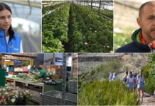 Corso Fiorito 2026: un video promozionale racconta la filiera del fiore a Sanremo fiori sanremo