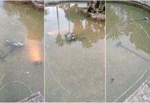 Sanremo, atti vandalici a Villa Ormond: danneggiate targhe botaniche nei pressi della fontana atti vandalici villa ormond