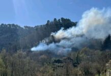 Incendi nell’entroterra di Imperia: roghi a Dolceacqua e Ceriana, Vigili del Fuoco in azione incendio ceriana