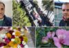 “Sanremo in Fiore”, la primavera della floricoltura locale: le voci dei produttori Sanremo in Fiore produttori