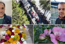 “Sanremo in Fiore”, la primavera della floricoltura locale: le voci dei produttori Sanremo in Fiore produttori