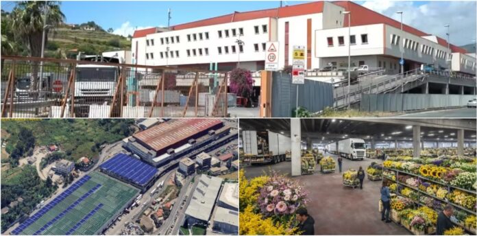 mercato dei fiori sanremo