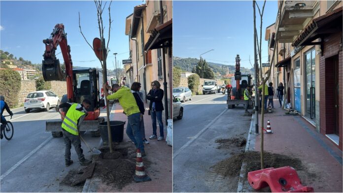 verde pubblico corso genova ventimiglia