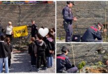I bambini di Diano Castello piantano l’Albero di Falcone. “Per formare un ‘bosco diffuso’ della legalitĂ ” Albero di Falcone
