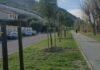 Taggia, al via i lavori di riqualificazione della pista ciclopedonale lungo il torrente Argentina ciclabile lungo fiume taggia