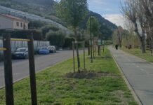 Taggia, al via i lavori di riqualificazione della pista ciclopedonale lungo il torrente Argentina ciclabile lungo fiume taggia