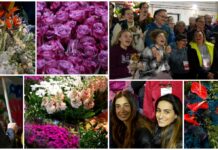 La notte dei Carri Fioriti: i lavori fervono per lo spettacolo di domani