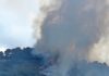 Incendio boschivo a Camporosso: fiamme alimentate dal vento a Monte Fontane