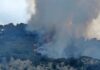 Incendio boschivo a Camporosso: fiamme alimentate dal vento a Monte Fontane incendio camporosso