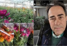 “Ricoltiviamo”: i Rotary Club della provincia di Imperia puntano sui giovani per rilanciare la floricoltura ricoltiviamo
