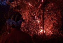 Diano San Pietro, incendio in zona monte Colletto: fiamme spente all’alba