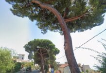 Sanremo, 1 milione di euro per la riqualificazione di via Padre Semeria. Ventimiglia: “È ora di trasformare questa strada in un vanto per la città” via padre semeria sanremo