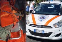 Sanremo, capriolo ferito sulla pista ciclabile soccorso da Ambulanze Veterinarie ambulanze veterinarie