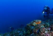 Rete fantasma individuata sui fondali di Santo Stefano al Mare