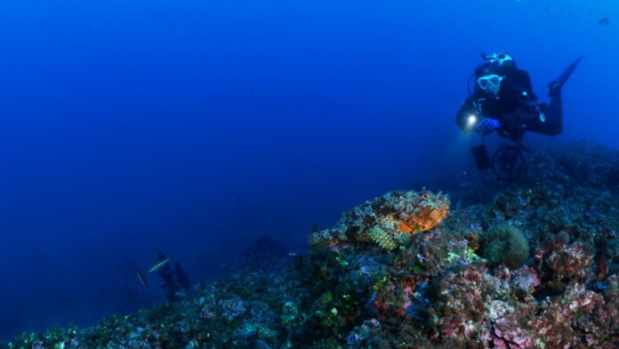 2026_04_11_rete secca santo stefano (3)