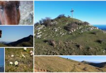 Verso il Pizzo d’Evigno: pascoli e panorami a picco sul mare pizzo d'evigno