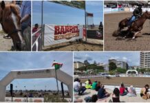 “Barrel on the Beach” 2026: ritorna ad Arma di Taggia il grande evento equestre in riva al mare