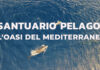 Santuario Pelagos, la sua storia diventa un fumetto: il progetto per conoscere e proteggere i cetacei